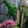 Giau Trinh Photo 9