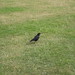 Joe Esser Photo 13