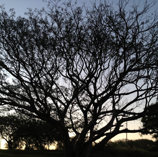 Fernando Rossetti Photo 12