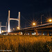 Chong Yang Photo 35