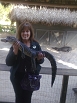 Susan Johnston Photo 11