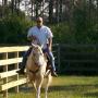 William Meeks Photo 50