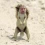 Steven Haines Photo 11