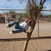 Mark Appelbaum Photo 17
