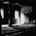 Jay Barber Photo 37
