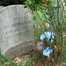 George Graves Photo 38
