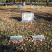 Charles Lucas Photo 40