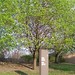 Walter Siegel Photo 15
