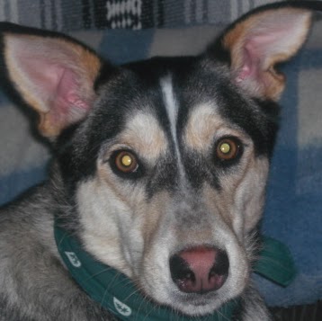 Judy Goldberg Photo 5