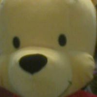 Christopher Bear Photo 25