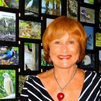 Diane Heinz Photo 8