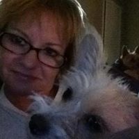 Cindy Mccreary Photo 7