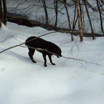 Diane Roy Photo 7