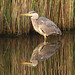 Cathie Gray Photo 16