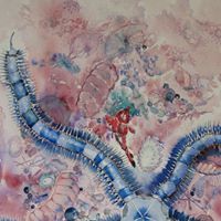 Cynthia Boyle Photo 37