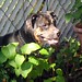 Tracy Vick Photo 11