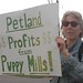 Jennifer Melick Photo 6