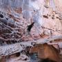 Scott Larson Photo 38