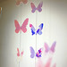 Nancy Dills Photo 8