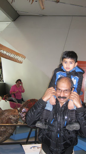 Varghese Mathew Photo 34