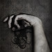 Diane Hand Photo 14