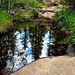 Tracey Call Photo 16