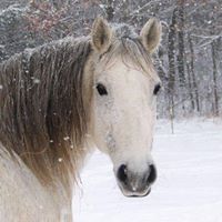 Martha Richardson Photo 15
