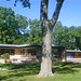 Larry Crow Photo 19