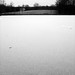 James Luckett Photo 40
