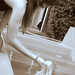 Robert Besen Photo 6
