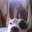Joan Hinson Photo 7