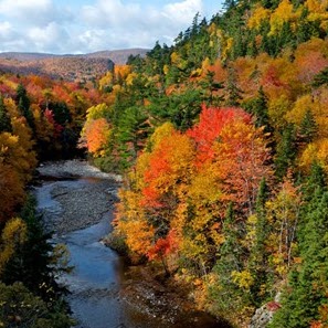 Julie Lamarche Photo 23