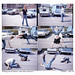 Janice Hess Photo 17