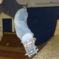 Dwayne Robertson Photo 13
