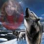 Carol Lemay Photo 7