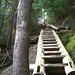 Greg Willey Photo 10