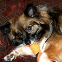 Faye Roberts Photo 45