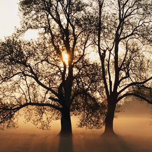 Jeanette Harper Photo 33