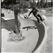 Geoffrey Browne Photo 11