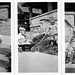 Robert Hamilton Photo 33