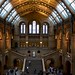 Darwin Hall Photo 22