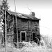 Jack Rector Photo 15