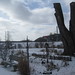 Heather Cutler Photo 25