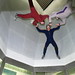 Tom Cotten Photo 6