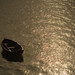 Jennifer Ripple Photo 9