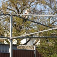 Annette Beaven Photo 3