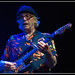 Nick Lowe Photo 41