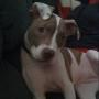 Terri Jackson Photo 10