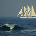 Brenton White Photo 33