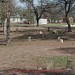 Austin Plummer Photo 12